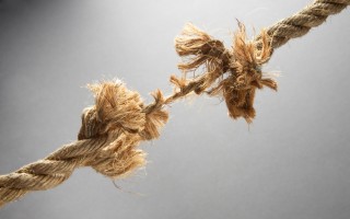 friendship etiquette, Diane Gottsman, Etiquette Expert
