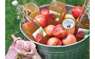 Apple cider for the fall