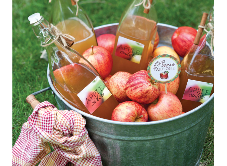 Apple cider for the fall