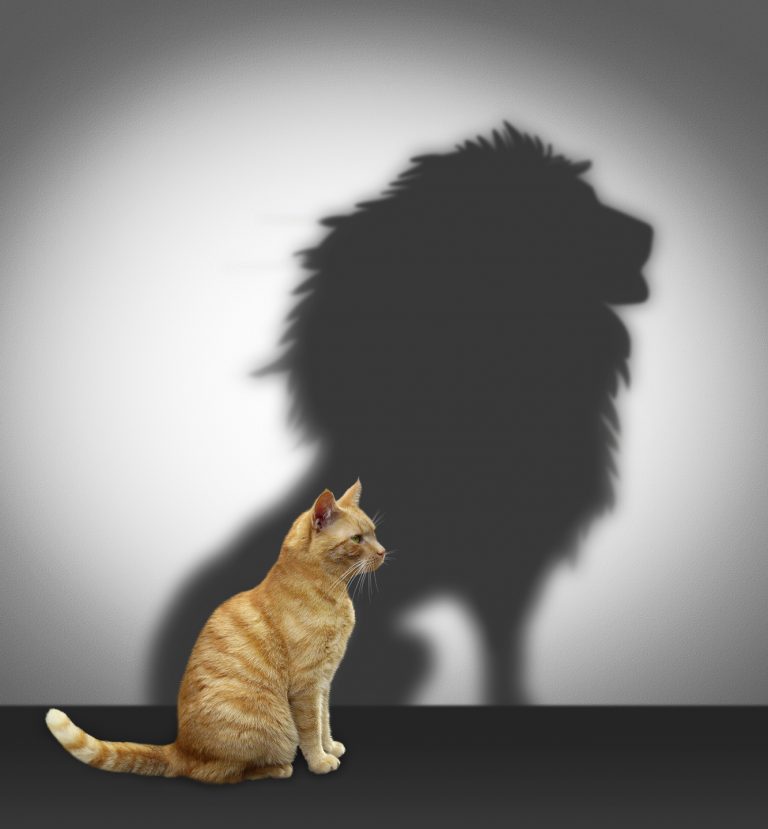 How to be brave