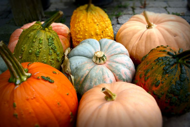 Fall Entertaining Etiquette