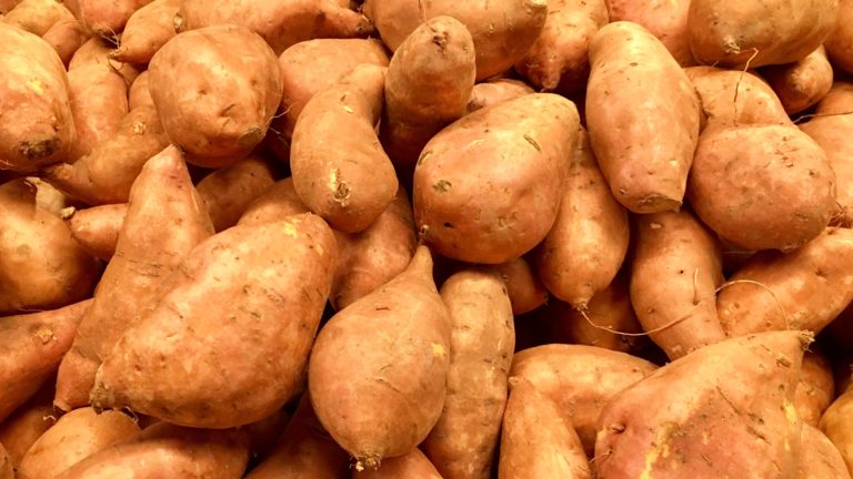 Yams vs. Sweet Potatoes