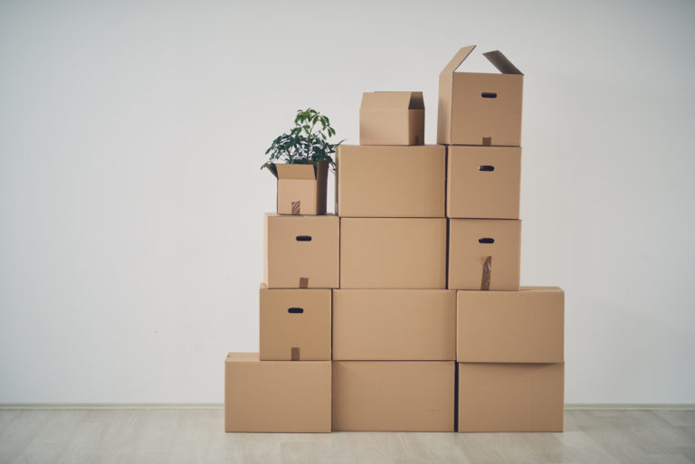 Next Steps After Losing Your Job