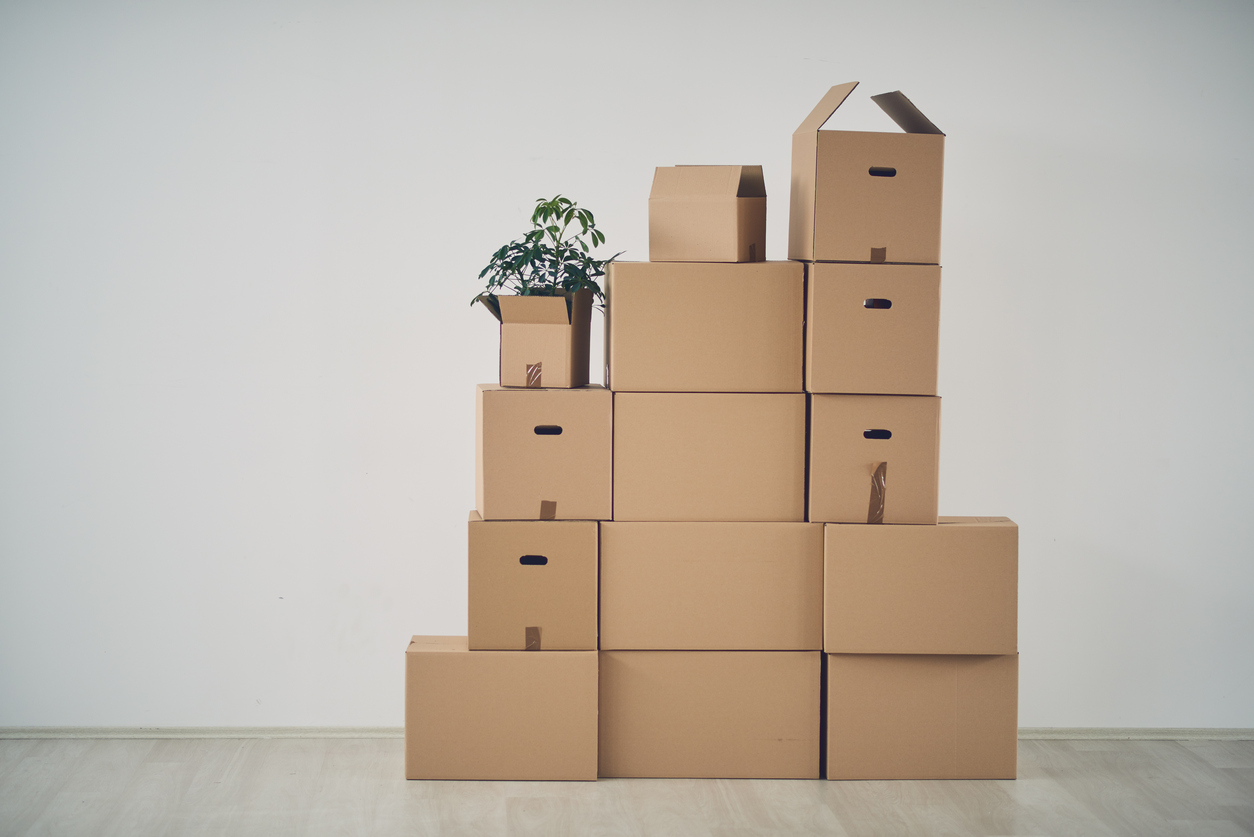 Next Steps After Losing Your Job