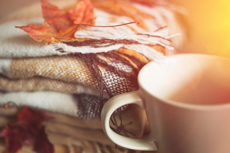 Organization for Fall
