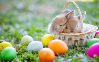 Easter Ideas for the Host