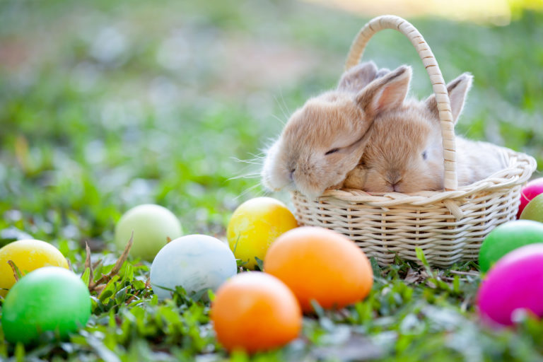 Easter Ideas for the Host