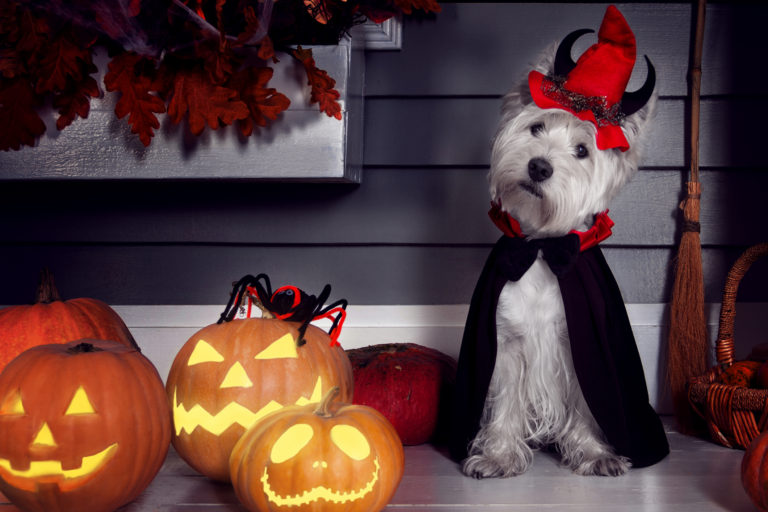 Halloween Party Etiquette