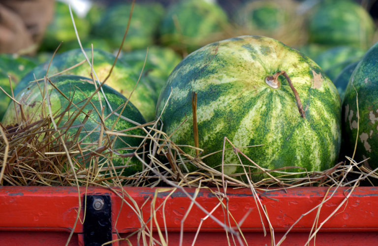 Watermelon