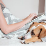 Working From Your Bed