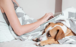 Working From Your Bed