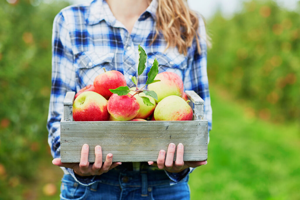 vaccination status | woman holding crate of apples