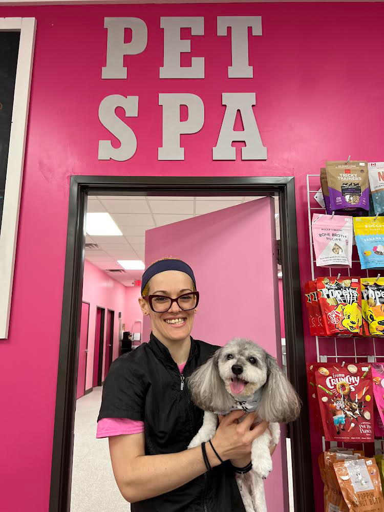 Pet Groomer holding Diane's dog Marty