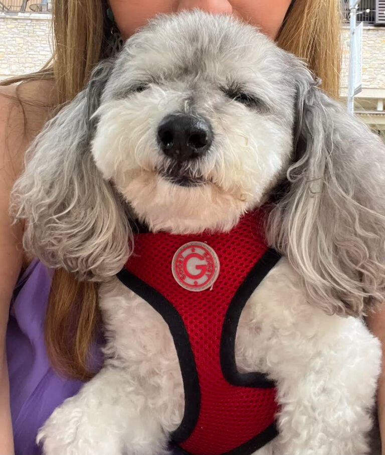 Pet Groomer Etiquette | Photo of Diane holding her dog Marty