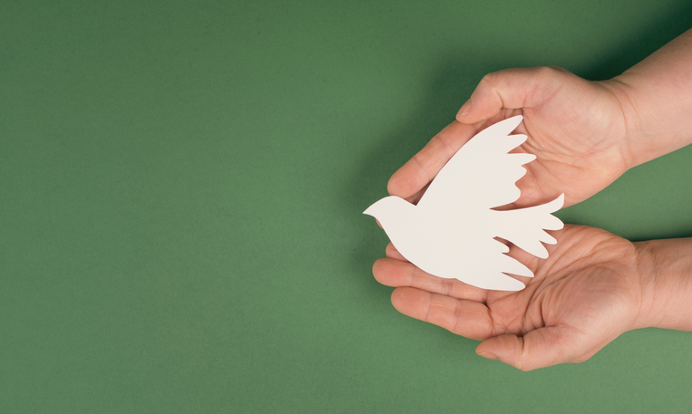 How To Avoid a Public Outburst | Holding a white dove in the hands, symbol of peace, paper cut out