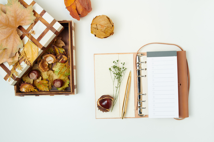 fall notebook | Hello october. autumn background with leaves, chestnuts, box and notebook on white background.