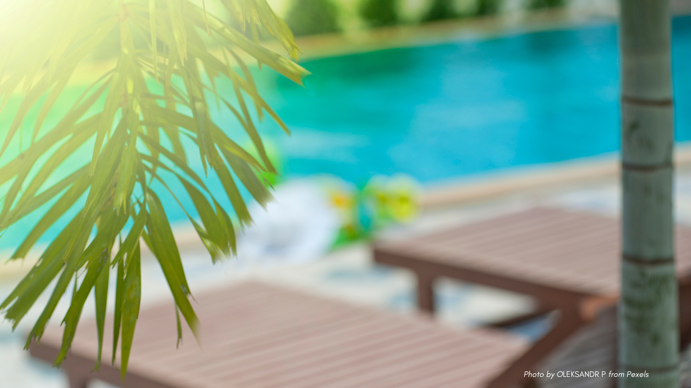 Summer Etiquette Q&A with Diane Gottsman | Poolside lounge chairs and palm branches