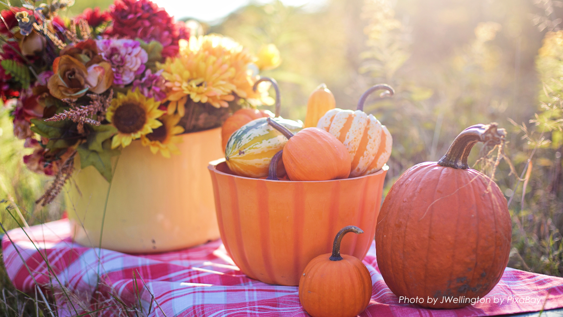 Summerween Pumpkins and Flowers outside