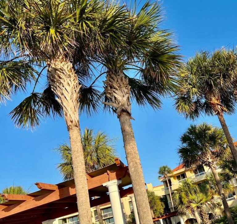 Fun in the Sun Etiquette and What to Pack in Your Beach Bag