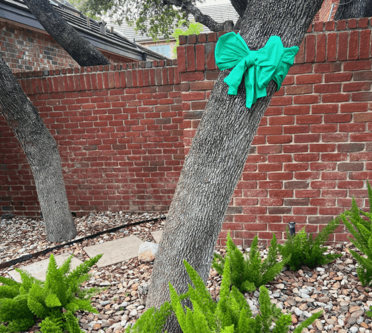 Help in grief or crisis | green ribbon on large tree in garden