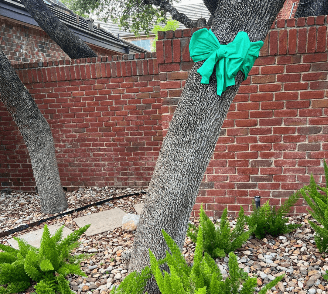 Help in grief or crisis | green ribbon on large tree in garden