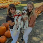 Fall Gathering Ideas for the Gracious Host