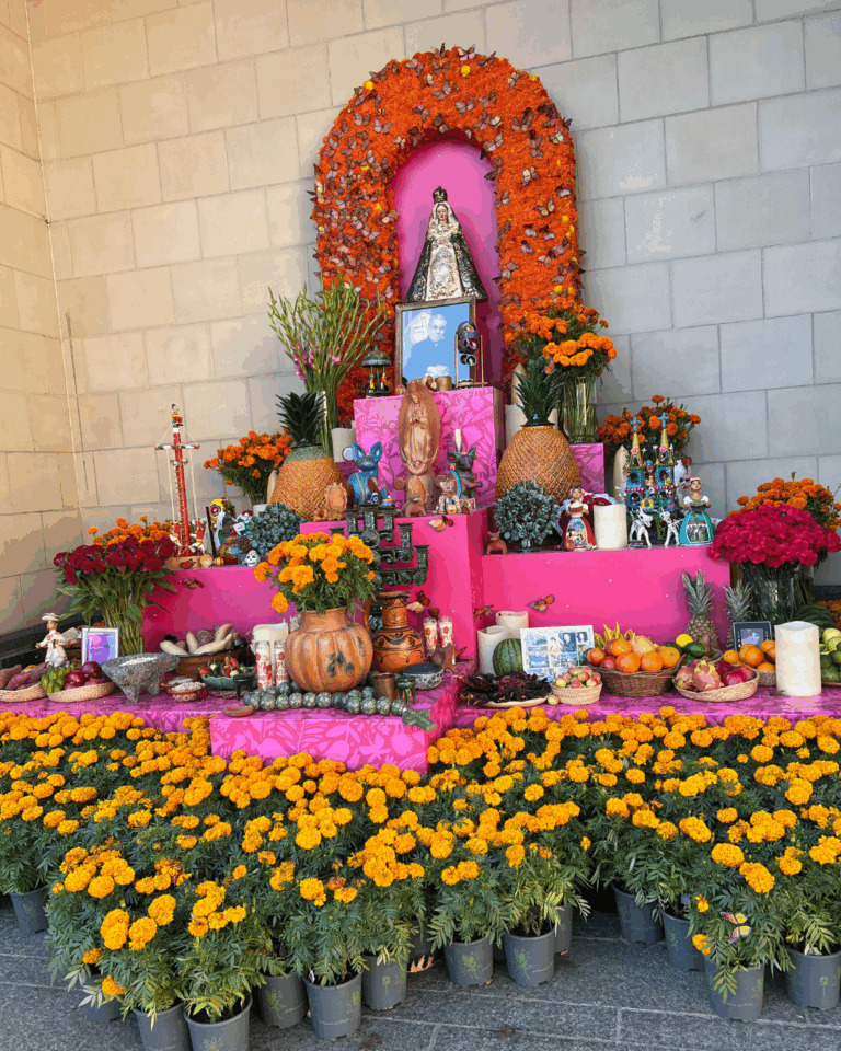 el Día de los Muertos DFW