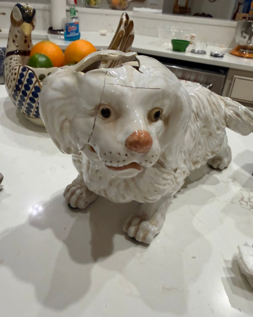 Putting ceramic dog back together